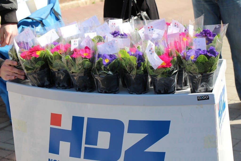 2015 HDZ dan zena 1
