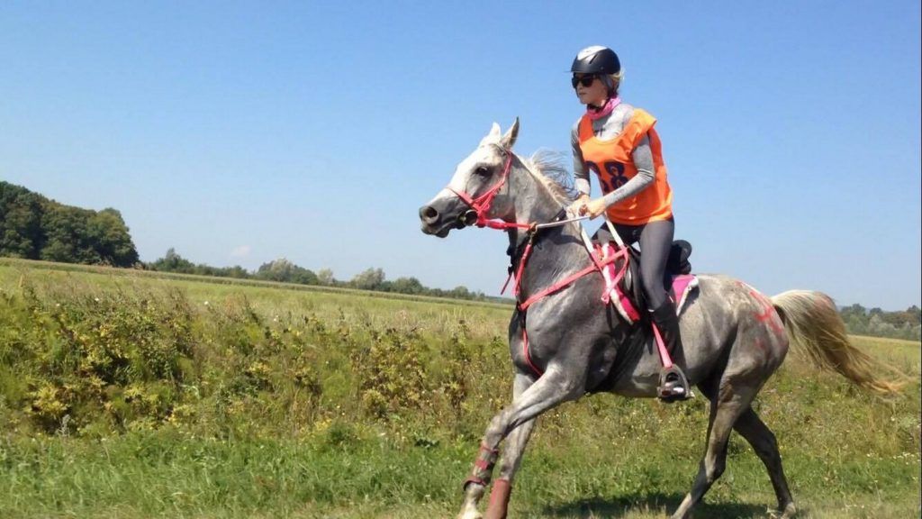 2016 08 laurasapic 1