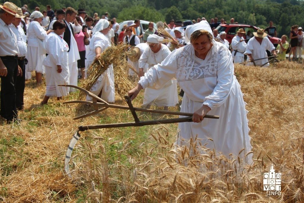 2017 7 zetvazrinskitopolovac 370