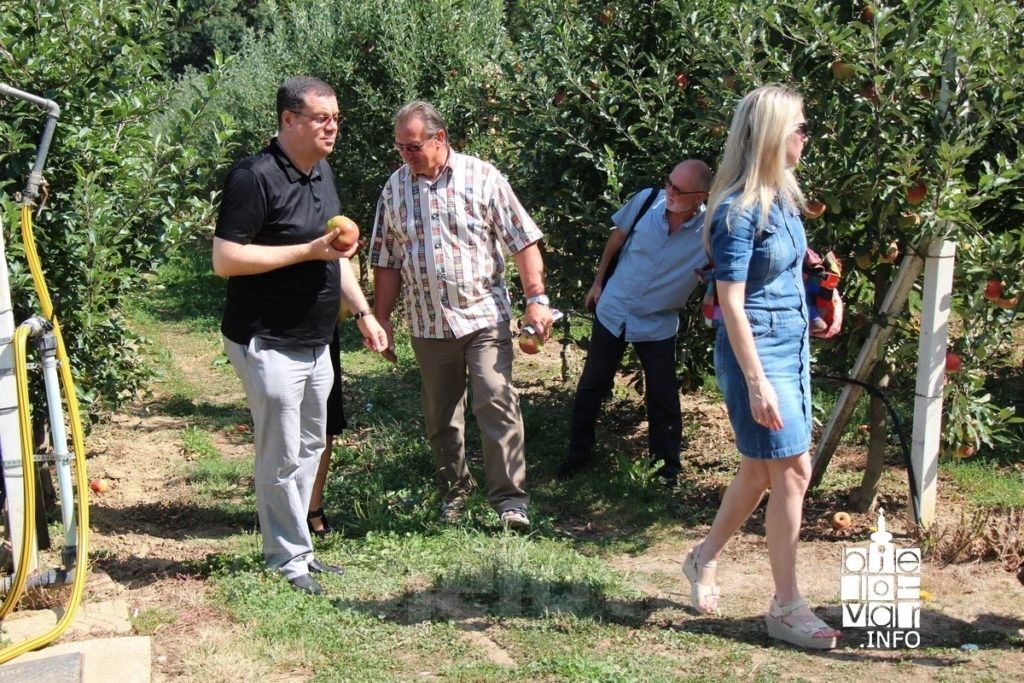 2017 8 zupanijavoće 127