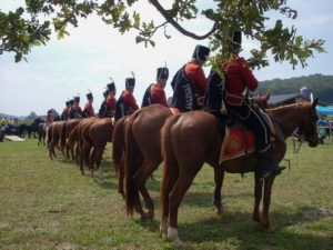 Autor Tamara Šafarić