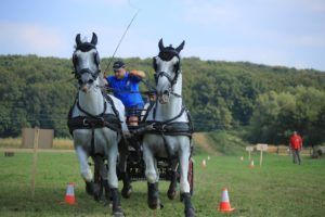 Autor Željko Vojnić