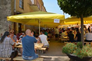 dani piva 19082017 35