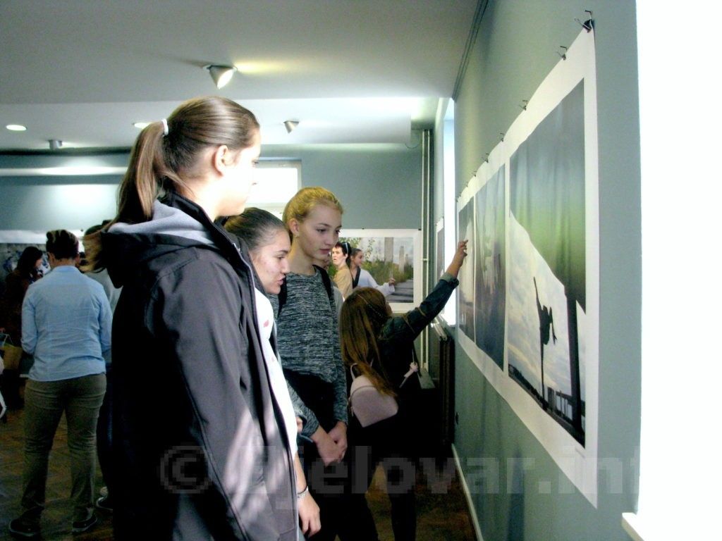IMG 7393 1