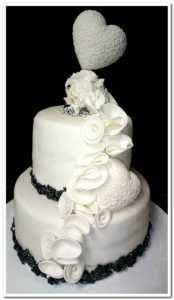 18158003 1909146422634205 1530048467684961110 n