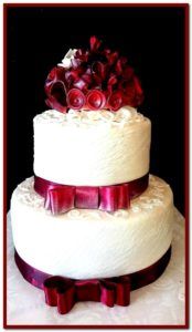 18555907 1918204111728436 4479014132677325337 n