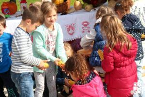 2017 djecjitjedan 114