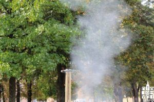 2017 djecjitjedan 301