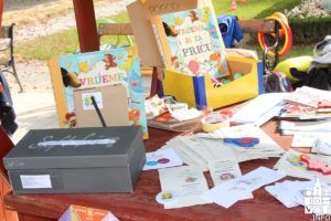 2017 djecjitjedan 71