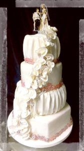 21317993 1967122080169972 1816450927029594446 n