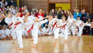 2018 tkbjelovarcrnipojas 1