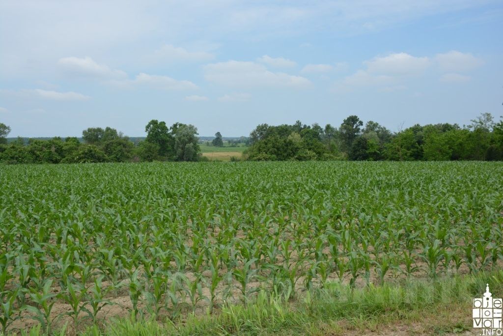 U Županiji potpisan ugovor o kreditiranju proljetne sjetve s pet banaka-kamatna stopa za poljoprivrednike 2,4 posto 2016 06 sjetva 10