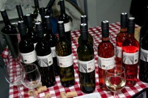 2018 sajampcelarski 334