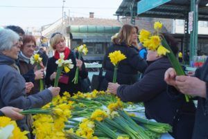 2018 dannarcisa 22 1