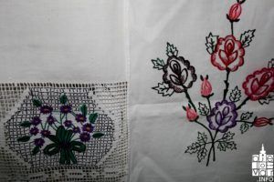 2018 srbirucniradovi 11