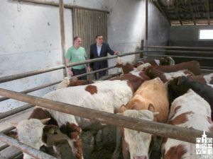 2018 proletnasjetva 40