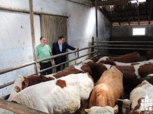 2018 proletnasjetva 42 1