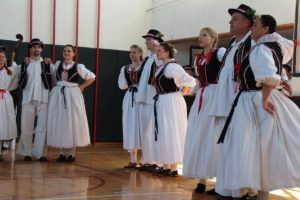 2018 račasmotra 154