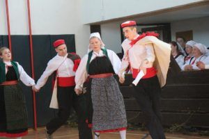 2018 račasmotra 363