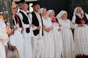 2018 račasmotra 463