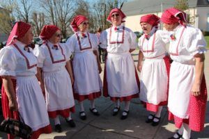 2018 račasmotra 561