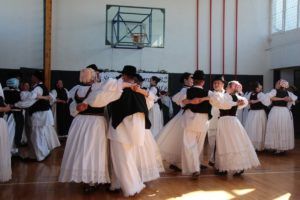 2018 račasmotra 583