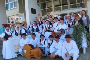 2018 račasmotra 684