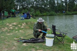 2018 dandrzavnosti 36