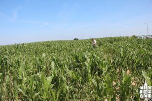 2018 elementarnanepogoda2018 13