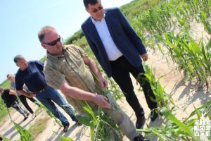 2018 elementarnanepogoda2018 42