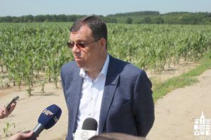 2018 elementarnanepogoda2018 52 1