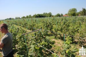 2018 elementarnanepogoda2018 85