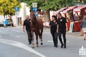 2018 terezijanapocela 51