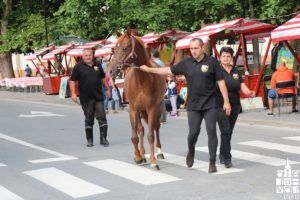2018 terezijanapocela 53