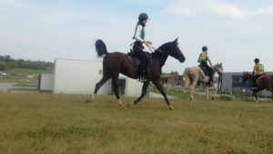 2018 foto bjelovar kk vinia 5