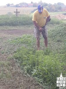 2018 foto bjelovar lug 6