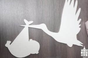 2018 foto bjelovar toncica 35