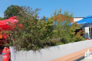 2018 foto bjelovar bazeni 75