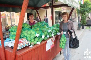 2018 voćari jabukei 4