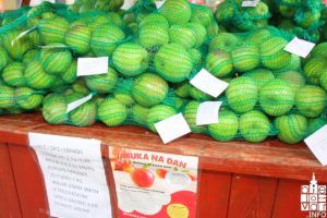 2018 voćari jabukei 6 1