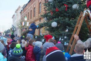 2018 kićenje bora 5