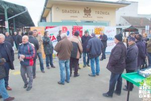 2019 nl damir bajs 4