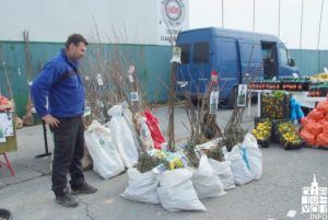 2019 pčelarski sajam1 43