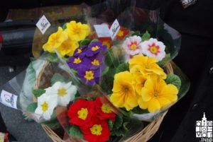 2019 političke stranke dan žena 37