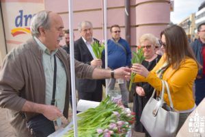 2019 ana rukavina sdp 38