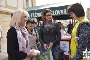 2019 ana rukavina sdp 58