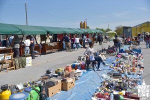 2019 bjelovar slike 61