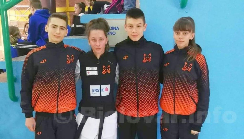 2019 foksići 1