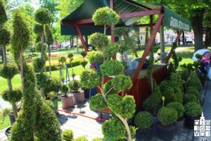 2019 izložba glumaca 105