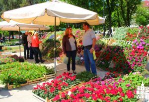 2019 izložba glumaca 97